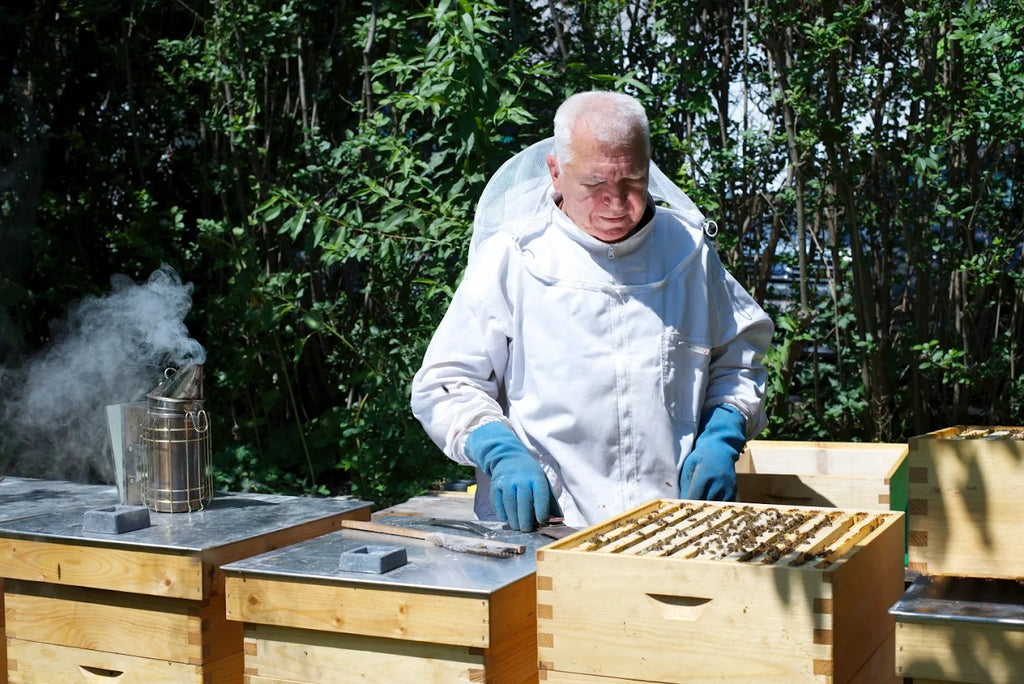 Blütenhonig · Wien · Imkerei Tarasiewicz